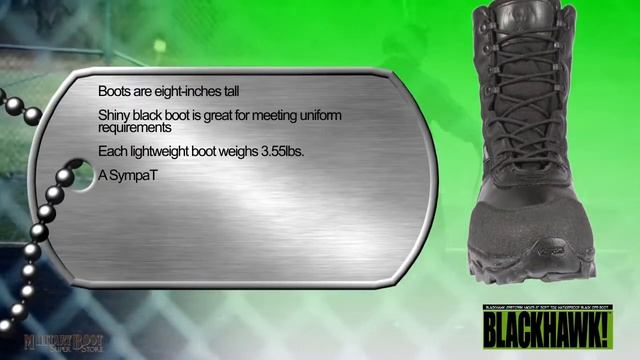 Blackhawk 83BT03BK Men's 8" Soft Toe Waterproof Black Ops Boot Demo смотреть онлайн