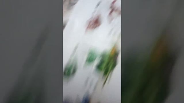 Микардимал Стронхорн обзо