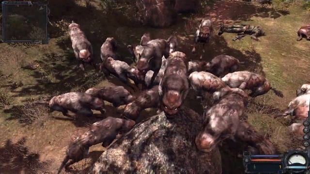 STALKER: Clear Sky - GHOST DOGS смотреть онлайн