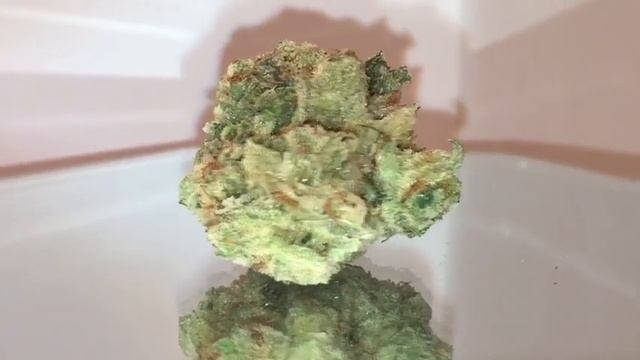 Sour Alien Dawg (SKÖRD) смотреть онлайн