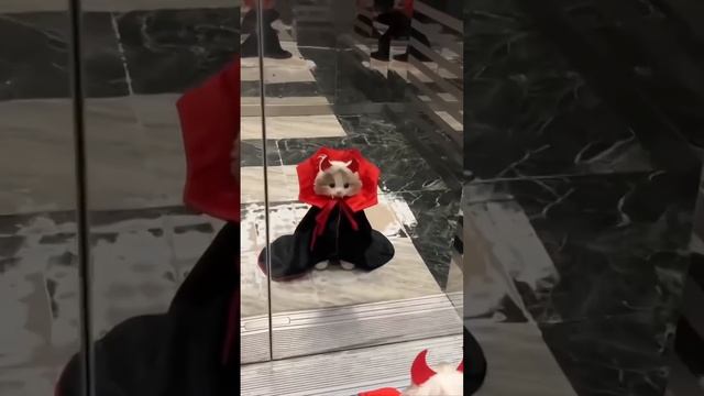 Дракула существует смотреть онлайн