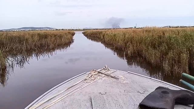 Прокоп 2024 смотреть онлайн