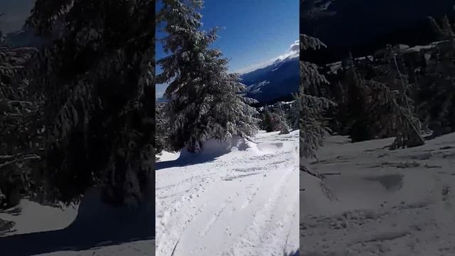 Покатушки по ёлкам на Драгобрате смотреть онлайн