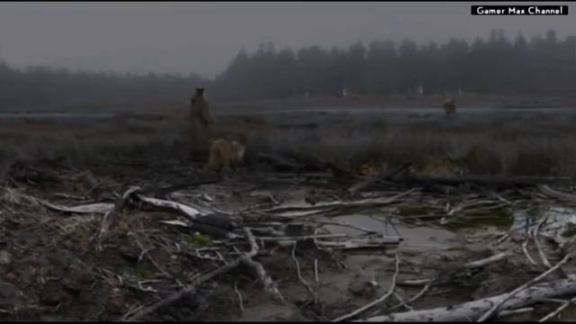 داستان بازی STALKER shadow of Chernobyl (با هنذفری گوش ندید) смотреть онлайн