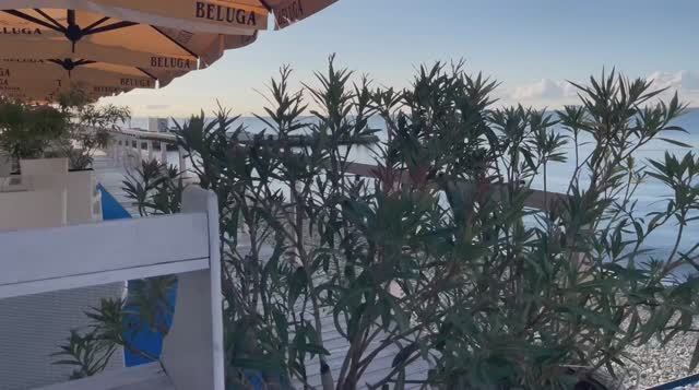 Море Сочи доброе утро ☀️ смотреть онлайн