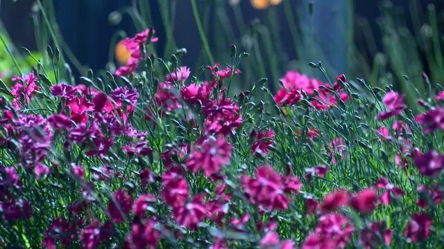 Релаксация часть 1. смотреть онлайн