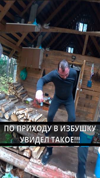 ИЗ ЗИМОВЬЯ С РЫКОМ ВЫПАЛ МЕДВЕДЬ СТЕПАНЫЧ смотреть онлайн