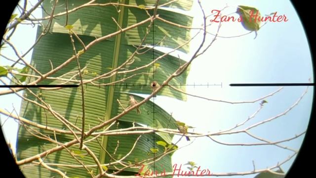 Reticle Glass New Marcool Wolverine 4-16x44 SpirG