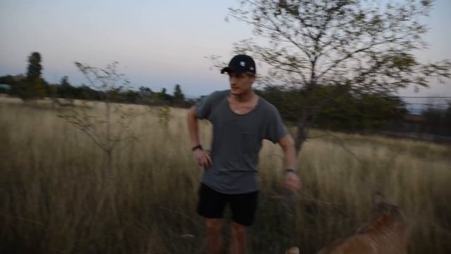 Лола -ревнивая львица ! смотреть онлайн