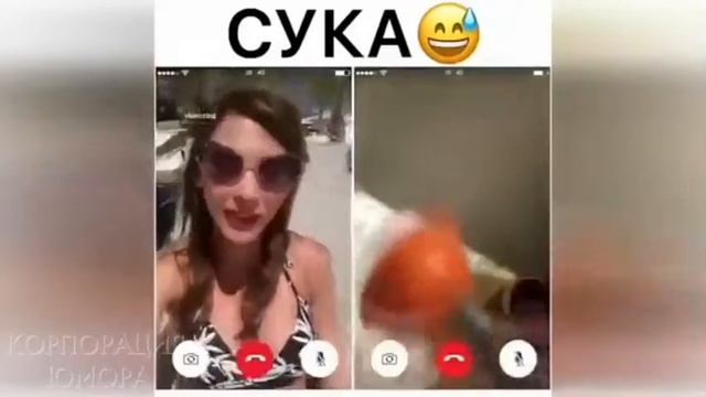 Приколы! смотреть онлайн