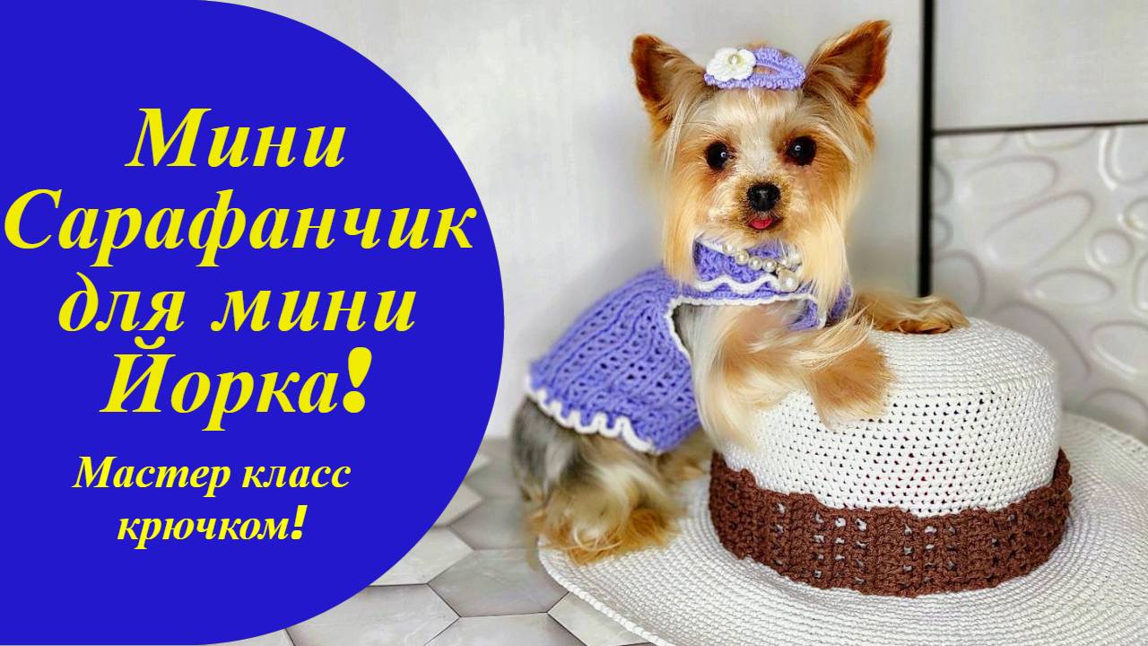 Кофта (сарафан) для Йорка крючком (схема), Мастер класс по вязанию смотреть онлайн