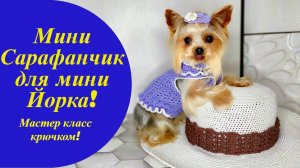 Кофта (сарафан) для Йорка крючком (схема), Мастер класс по вязанию