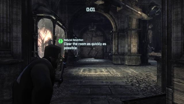 Natural Selection As Batman & Nightwing (NO DAMAGE) | Batman: Arkham City смотреть онлайн