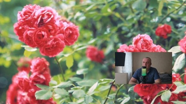 Узнав о наследстве, муж передумал разводится, но забрать заявление уже не получилось...