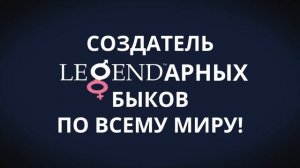 CHARL - ПРОВЕРЕННЫЙ БЫК №1‼