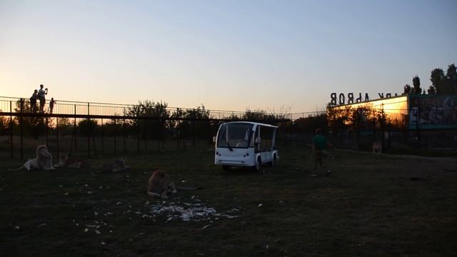 Стерва вся в любви и огрызается как никогда ! смотреть онлайн