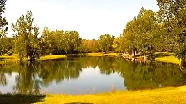 Homes for Sale - 6281 Bridle Path Grand Blanc MI 48439 - Wendy Sabo смотреть онлайн