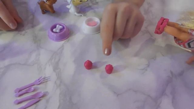 PET PARTY Эви устраивает вечеринку для питомцев смотреть онлайн