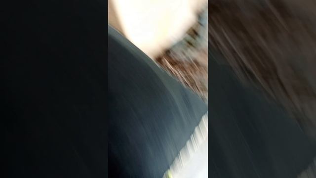 обзор воздушного пистолета смотреть онлайн