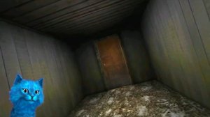 котёнок лайк