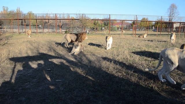 Едем искать упавшие ключи смотреть онлайн