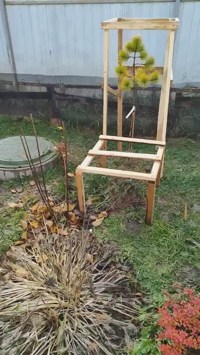 Подготовка укрытий для хвойных