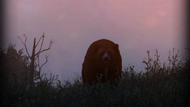 Stalker Online МСК Сервер Праздную Др и так по фану смотреть онлайн