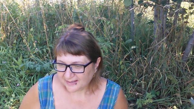 "НЕ ПРОСТО ПРОГУЛКА С КОЗАМИ"....И О МОИХ СЕКРЕТАХ :) смотреть онлайн