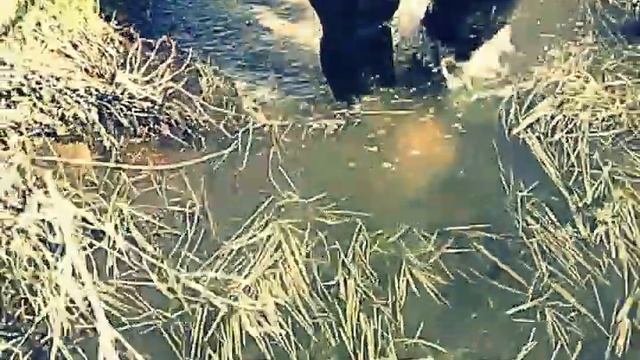 My SV. Deep Flooding Across Big Field Ditch In My SALMO 242 PVC-nylon Hip-waders.