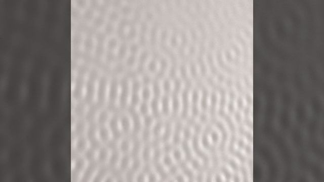 Stalker (For Andrei Tarkovsky) смотреть онлайн