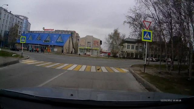голубь по пешеходному переходу смотреть онлайн