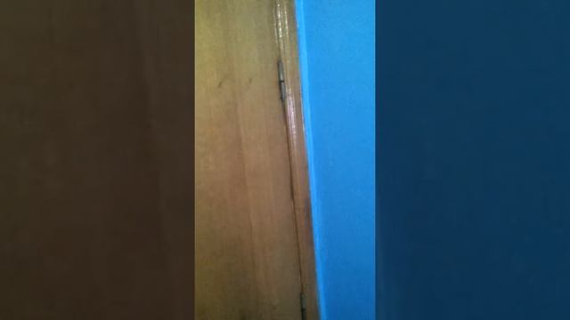 Светлана Савельева-Коваль, город Хмельницкий, Украина смотреть онлайн