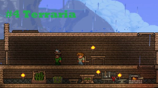 #5 Terraria
