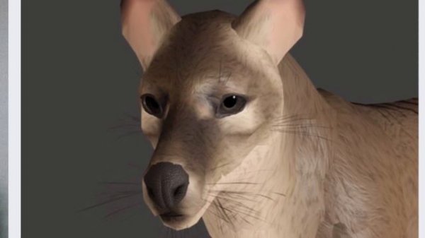 Cenozoic survival road map