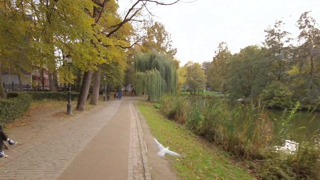Brussels/Belgium 🇧🇪 Episode 3: The complete movie - 68 minute virtual walking tour🚶♂️[4K⁵⁰fps.] смотреть онлайн