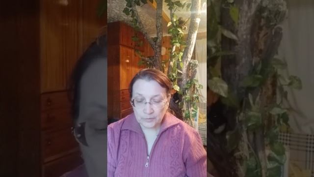 Удовлетворяя просьбу поговорить: О ДРУЖБЕ и ЛЮБВИ