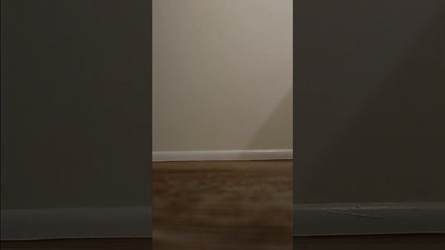 Indian College Girl Shoeplay Break Room