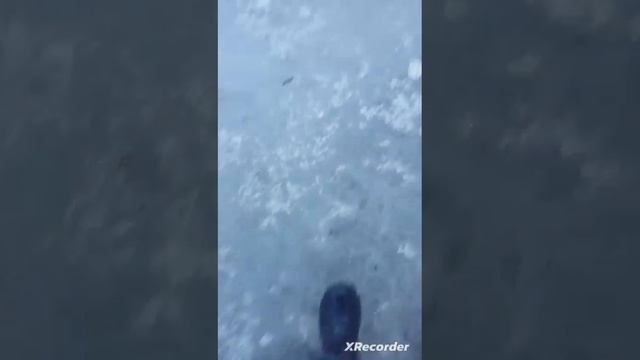 топаем по лужам #2 смотреть онлайн