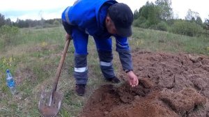 Как я добываю личинку майского жука/ Лучшая насадка на крупную рыбу после личинки миноги.
