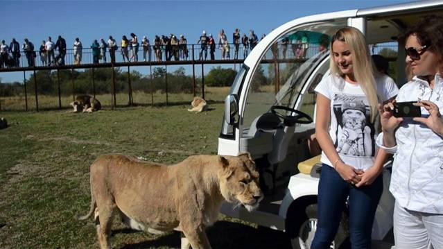 Однажды в Саванне ... смотреть онлайн