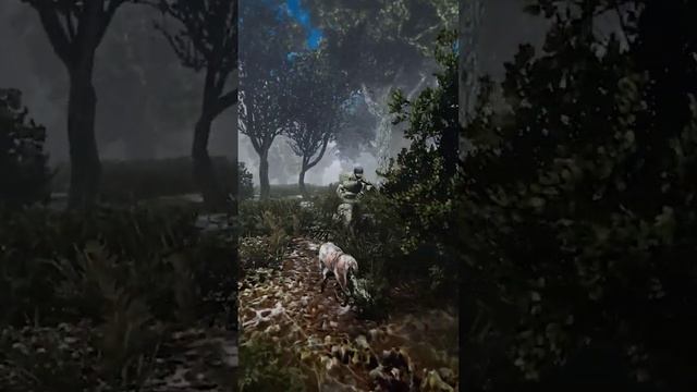 СЛЕЖУ ЗА НПС В ИГРАХ #games #gaming #gta5 #skyrim #stalker смотреть онлайн