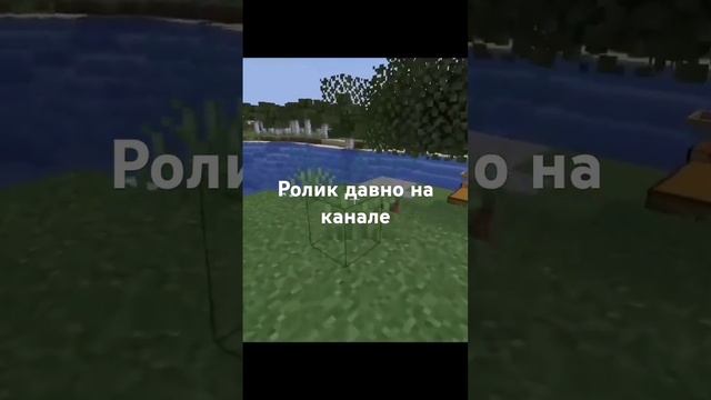 19 августа 2024 г.