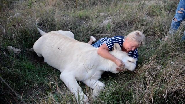 Счастье Надежды Чуриковой ! смотреть онлайн