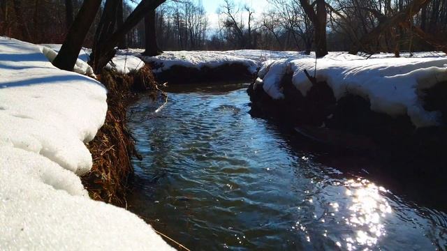 Звуки природы. Sounds of nature смотреть онлайн