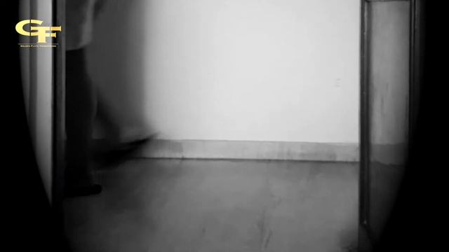 PRINCY the singer dog _ THE STALKER (Don't miss the END) смотреть онлайн