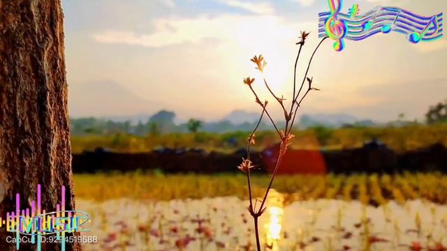 Romanian Traditional Music Remix