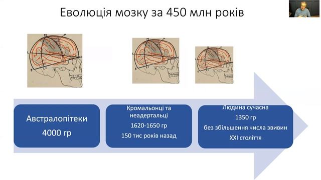 Психофізіологія 1 смотреть онлайн
