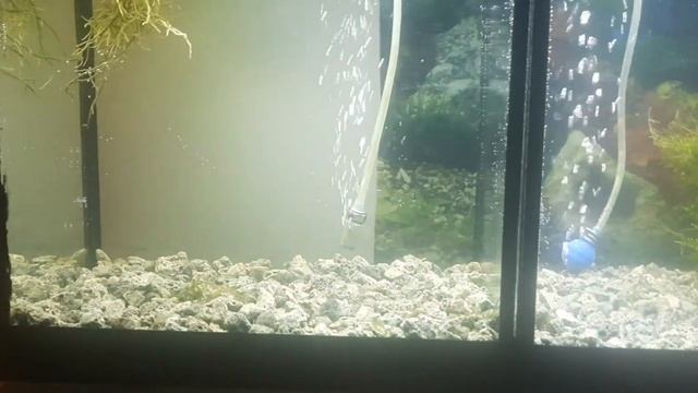 вулканическая лава в аквариуме смотреть онлайн