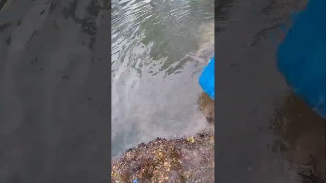 запуск смотреть онлайн