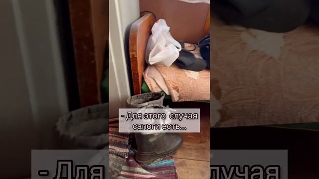 У тещи на даче🤣#юмор #тёщазять #дача смотреть онлайн
